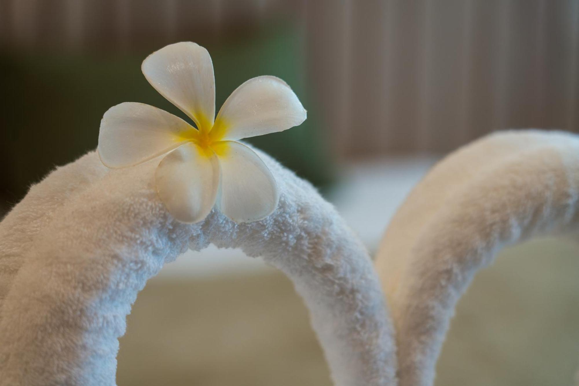 Niranapa Boutique Resort Kata-part Kültér fotó